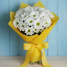 Букет цветов из:  Хризантемы в Изоплите