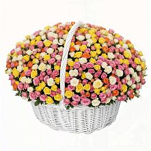 Премиум букет из: Розы #REPLACE_PRED# Изоплите