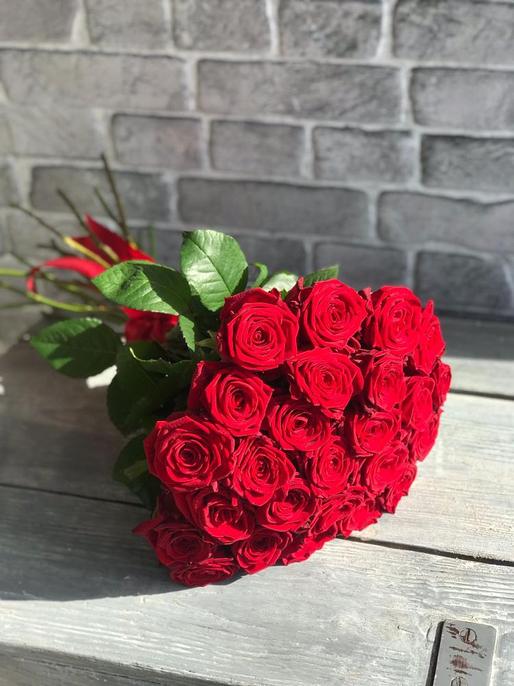 Букет Красные розы Фридом в Изоплите