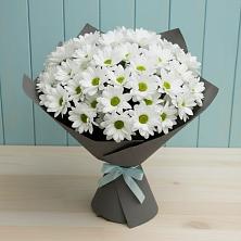 Букет цветов из:  Хризантемы в Изоплите
