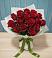 Букет Красные розы в Изоплите
