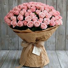 Букет 151 Роза Роуз в Изоплите