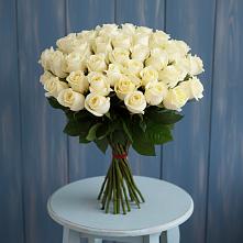 Букет 51 Белая роза Эдлесс Лав #REPLACE_PRED# Изоплите