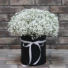 Цветочная композиция из Гипсофила в шляпной коробке в Изоплите