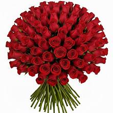 Букет Красные розы Чери Лав в Изоплите